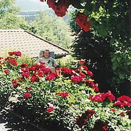 Haus Bergblick Bay. Wald Apartment Prackenbach