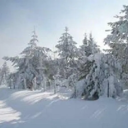 Apartmán Haus Bergblick Bay. Wald *