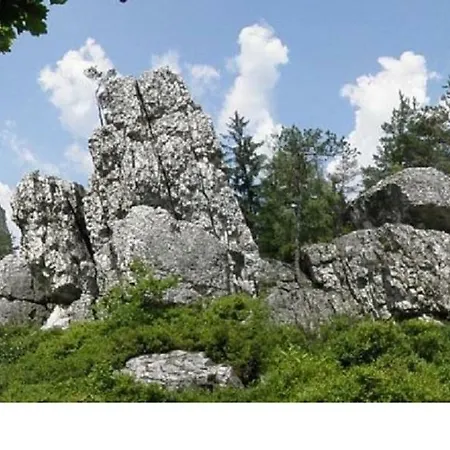 Haus Bergblick Bay. Wald *