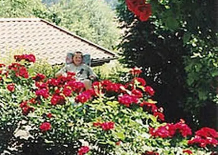 Haus Bergblick Bay. Wald *