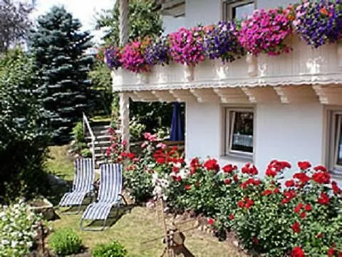 Haus Bergblick Bay. Wald