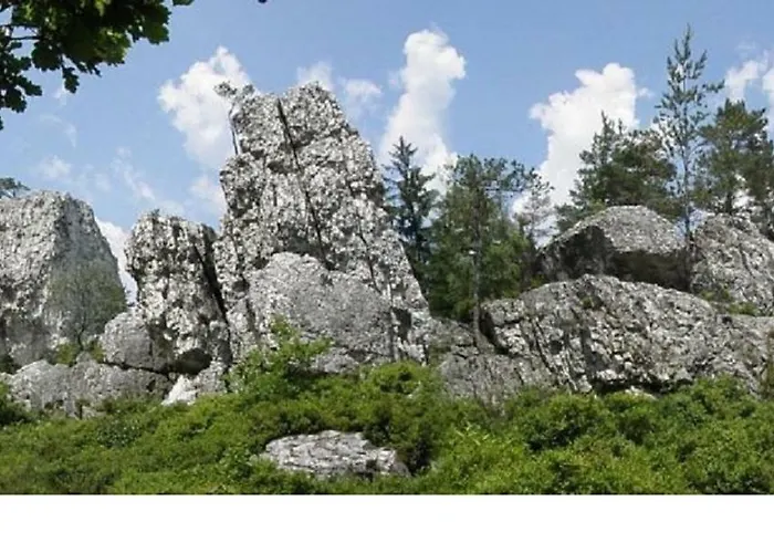 Haus Bergblick Bay. Wald *